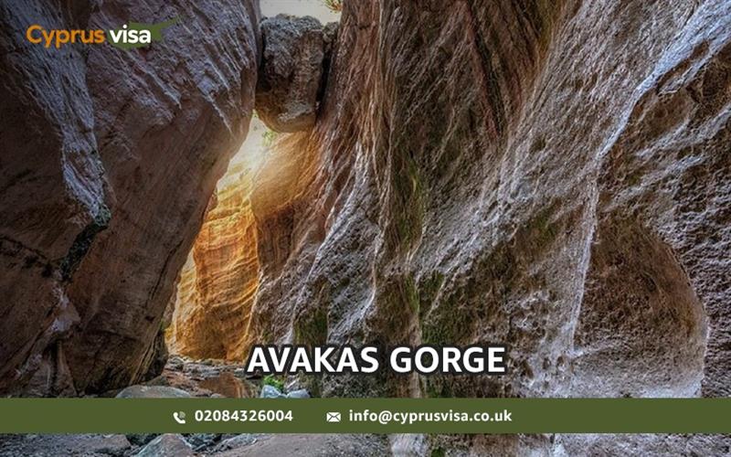 AVAKAS GORGE