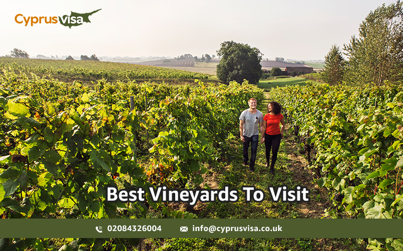 Best Vineyards To Visit